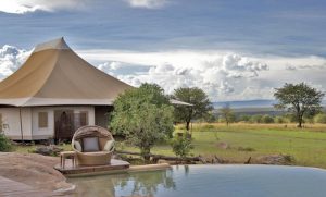 Maîtriser la Tanzanie pour un safari réussi